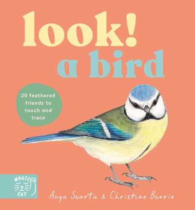 Look! a Bird!